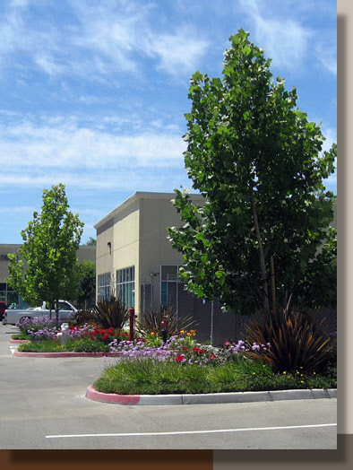 Vista Park Warehouse Landscaping in Sacramento