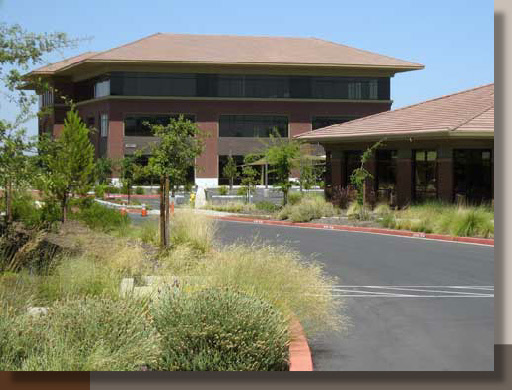 Rocklin Corporate Office Planting