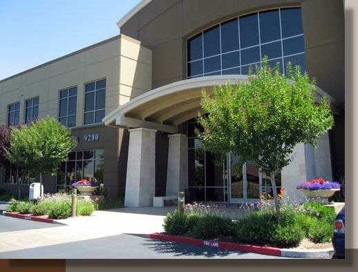 Landscape with Potted Plants in Elk Grove, California