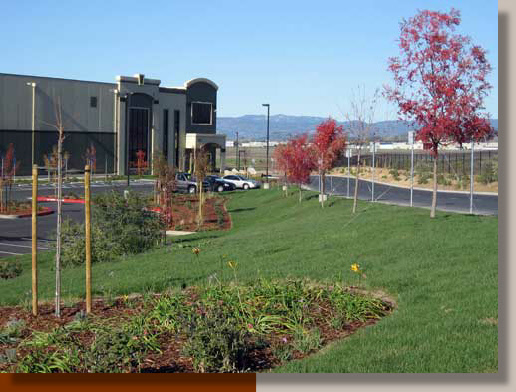 Warehouse Landscape Architecture in Napa County