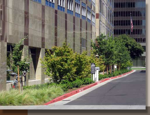 Alley Landscaping at Five Hundred Capitol Mall, Sacramento