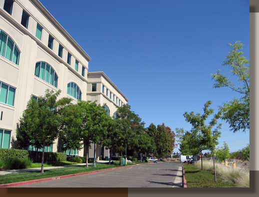 Sacramento County Courthouse Landscaping