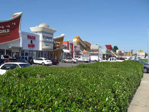 An Over-Grown Hedge in Rancho Cordova