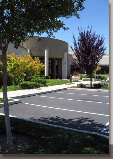 Landscape Design in Elk Grove, CA