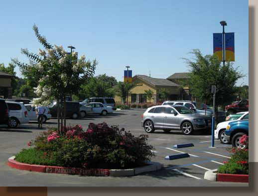 Colorful Landscaping in Stockton, California