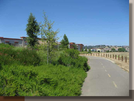 Folsom Bike Trail Landscaping