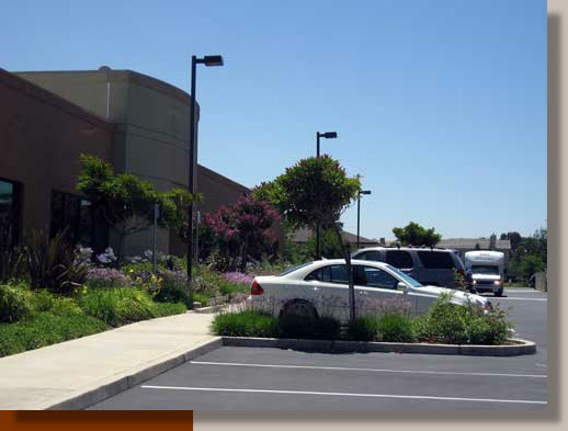 Elk Grove Medical Office Landscape Architecture