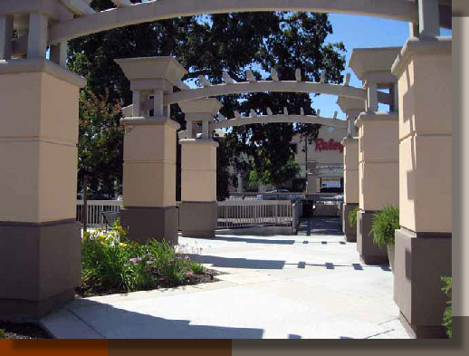 Landscaping Near Oak Trees in Elk Grove