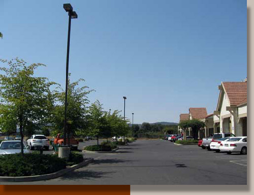 Crataegus phaenopyrum at a Calaveras County Shopping Center