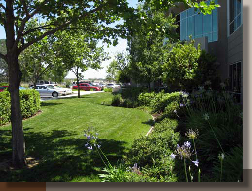 Sheltered Landscaping in Roseville, California