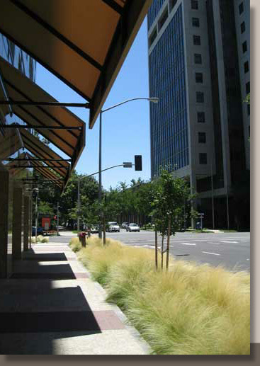 Hi-Rise Office Building in Sacramento, California