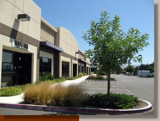 Livermore Parking Lot Planting