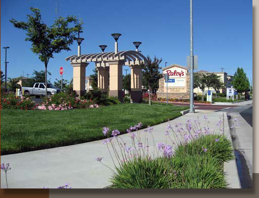 Landscape at Raley's in Elk Grove, CA