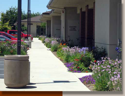 Medical Office Landscaping in Elk Grove